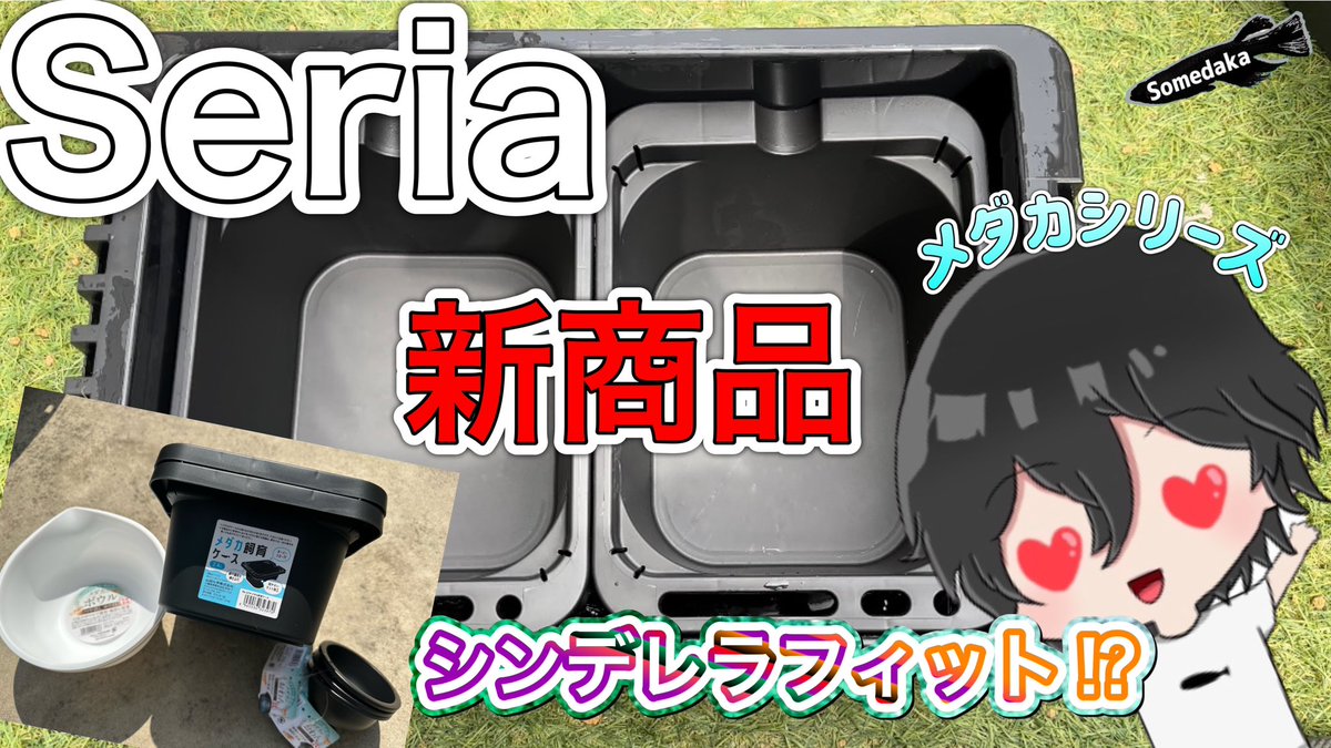 Seria新商品レビュー🤗

まだ持ってない人は急げー💨

youtu.be/E4Q3L_9lFp8

#メダカ　#めだか　#Seria 
#チャンネル登録お願いします 
#高評価宜しくお願いします