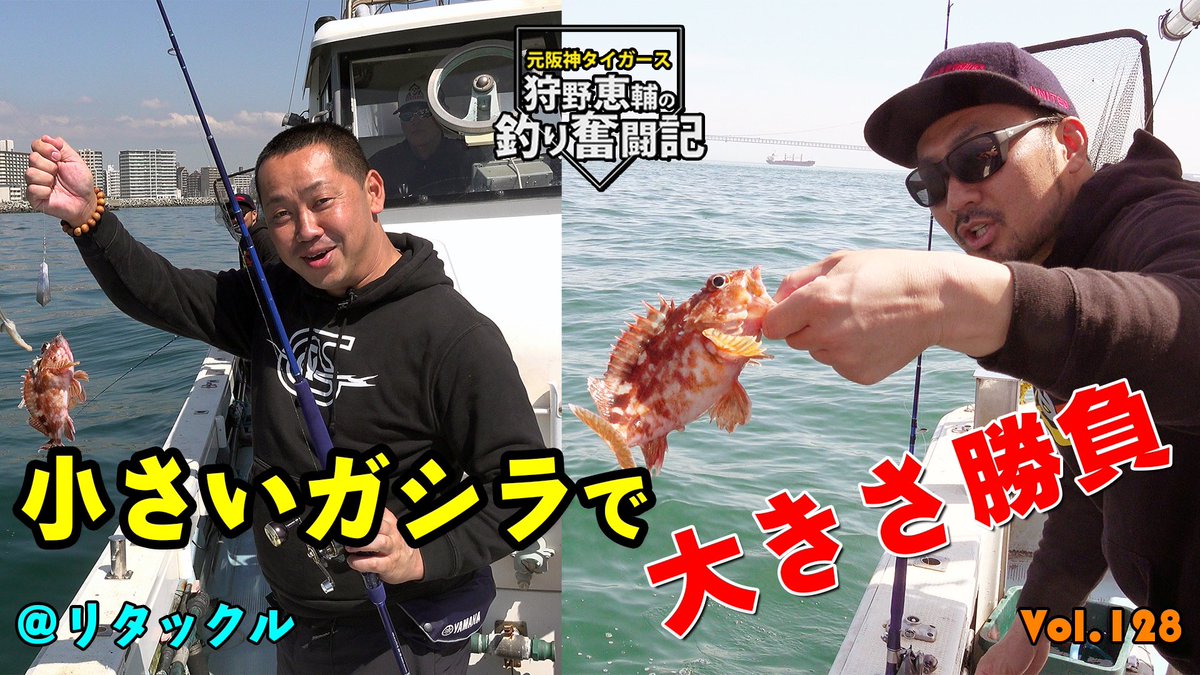 kanoh99's tweet photo. ガシラ釣り🎣
小さいガラシだけど…
大きさ勝負‼️
https://t.co/OQTmySTJGU

#狩野恵輔 
#釣り奮闘記 
#ガシラ 
#ガシラ釣り 
#釣り 
#fishing 
#youtube 
#阪神 
#阪神タイガース https://t.co/axVyUt5kCP