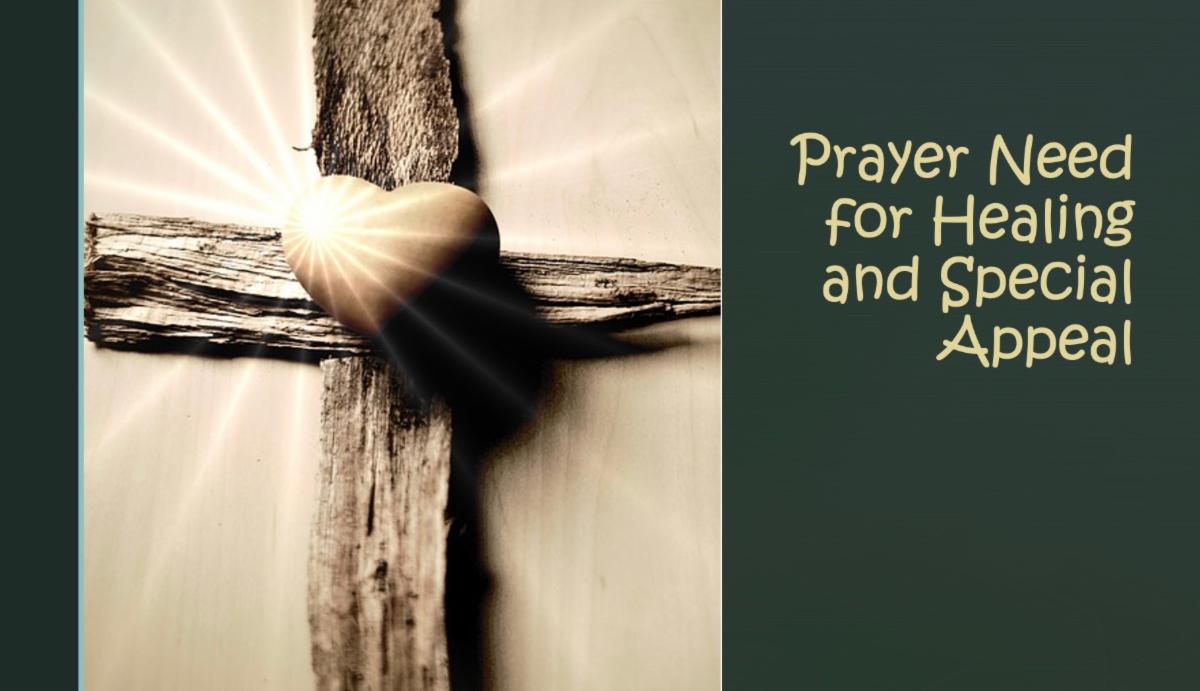 Please check out the latest news and special appeal. I will be having open heart surgery for 3 bypasses on Friday, April 7. Details are in this latest ministry update! Prayers are needed. Thanks.
 conta.cc/3U0ews5
