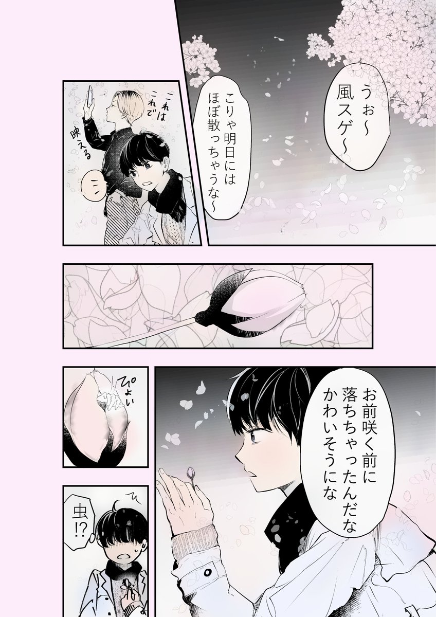 (再)桜ひらひら 