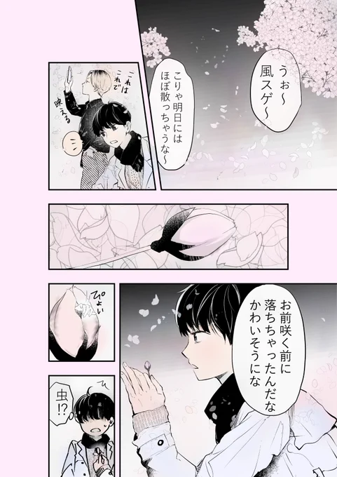 (再)桜ひらひら 