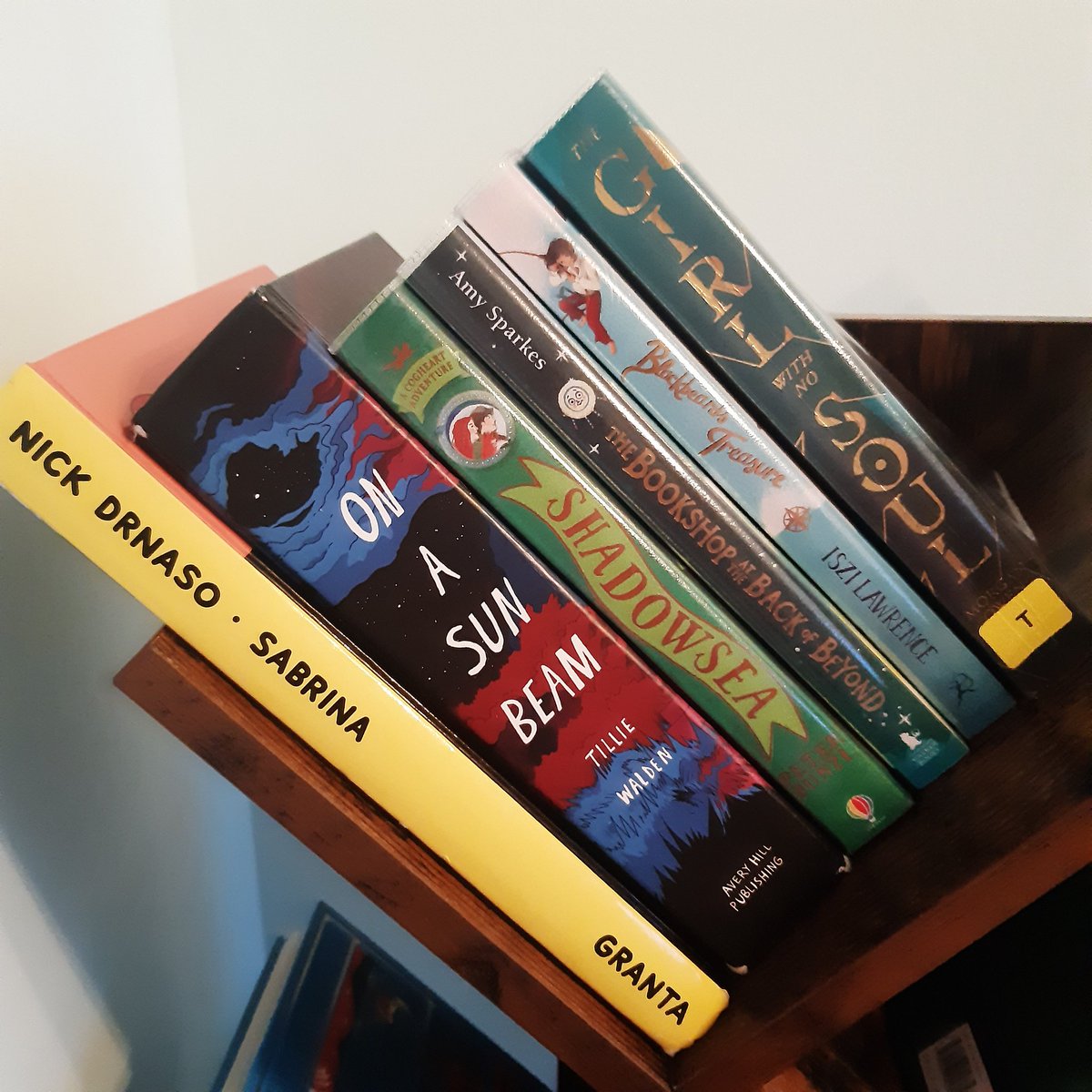 SabrinaAccalai's tweet photo. Time for @MagicalReadthn Spring Equinox at Orilium! 🪄  I'm going to let you all choose my 📕 for the Restoration prompt. Can't do a poll with so many choices so just comment which I should read. And please RT so I get lots of responses! 💖 #Orilium #Booktails https://t.co/DonREbiYOy