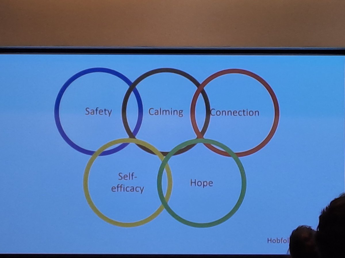 marisaarinen2's tweet photo. "People need to feel safe" @suzanna_watson reminding the importance of including #trauma perspective into working with #child and #family following #pediatric #TBI. @I_B_I_A @IPBIS https://t.co/ScieQvjpYJ