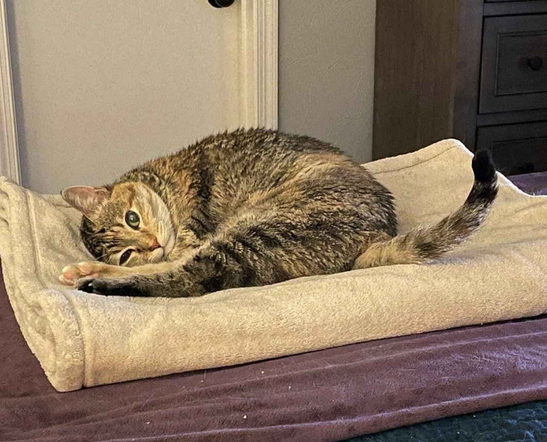 Happy birthday! Zabar is 20 years old today! <a href="/ZabarsIsNY/">Zabar's</a>