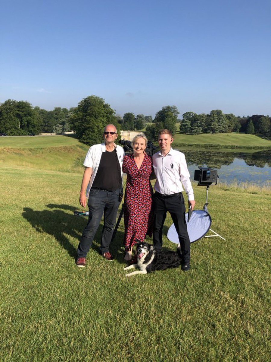 David Green tweet media