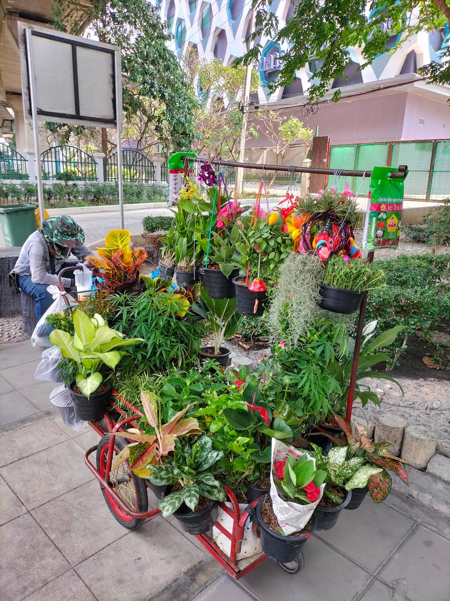 #Bangkok #Streetvendor #Flowers My pics of a street seller taking a break. What a well-stocked & so attractive & colourful mobile plants & flowers stall!