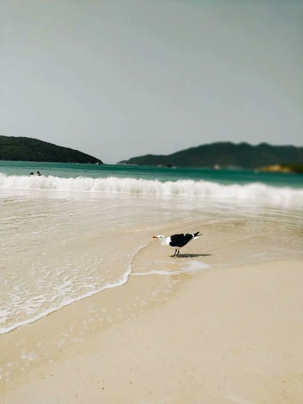 4everglade's tweet photo. i desire to experience synchronicities
and epiphanies; and everything in this life
that has soul, that has meaning...

- Taylor Ashley https://t.co/4qF0KWot86