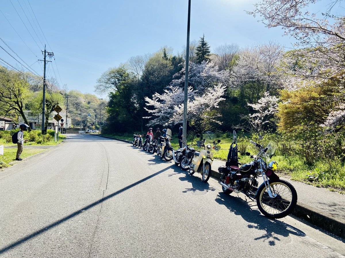 romesama_'s tweet photo. 原付一種オンリーのお花見ツーリング♪

初参加で最終的には総勢9台で盛り上がってきました！
モリコロパークから始まり目の前はよく通過してたけど、初めての鞍ケ池の山cafeにて皆んなでランチしたり原付で鞍ヶ池PAまで登っていったりと休日が満喫出来ました。
参加された方々もお疲れ様でした🌸 https://t.co/y0rF5ZUgQe
