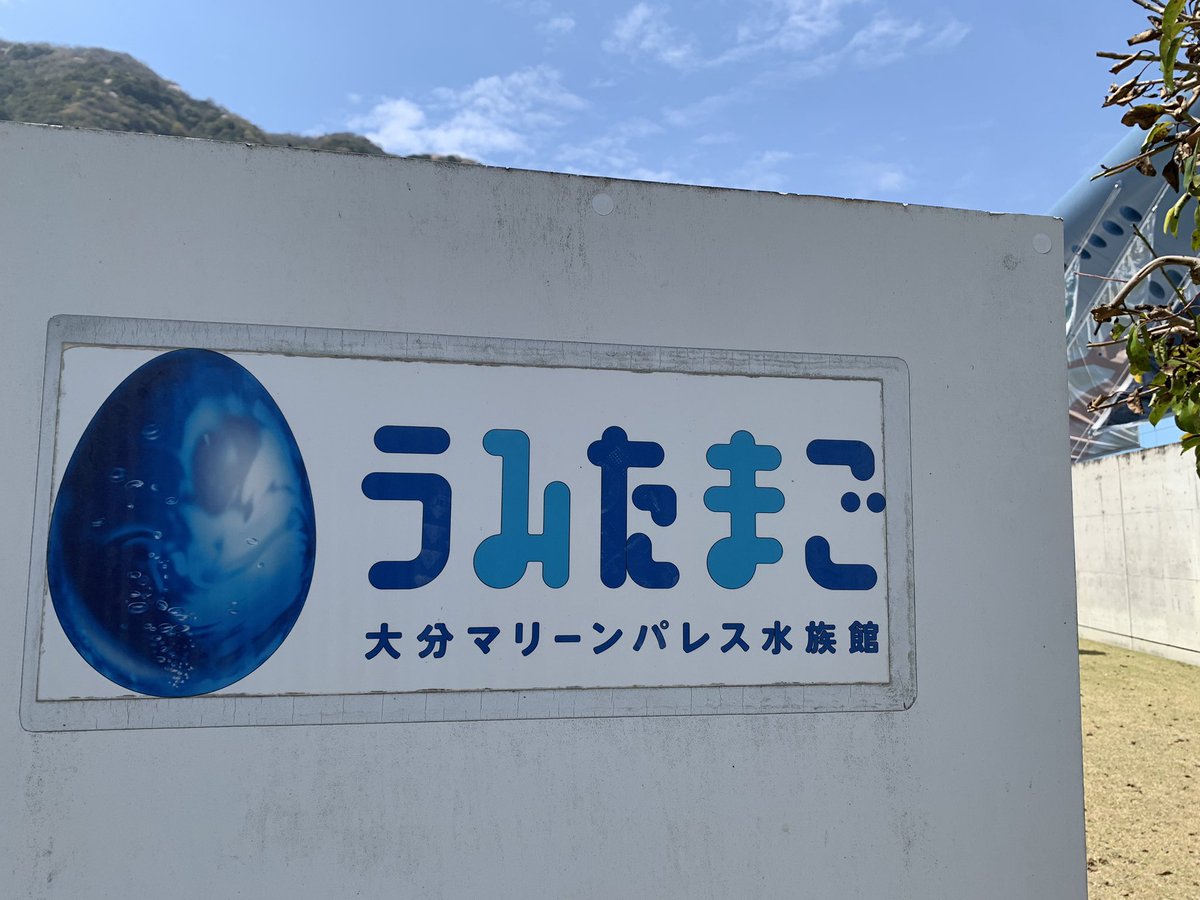 mira_3333's tweet photo. 【拡散希望】
大分県のうみたまごで結婚指輪を拾いました。
2014.7.19と2人のイニシャル刻印あり。
水色の誕生石も内側に入っています。
持ち主様に届きますように。 https://t.co/CfqTFaAHtj