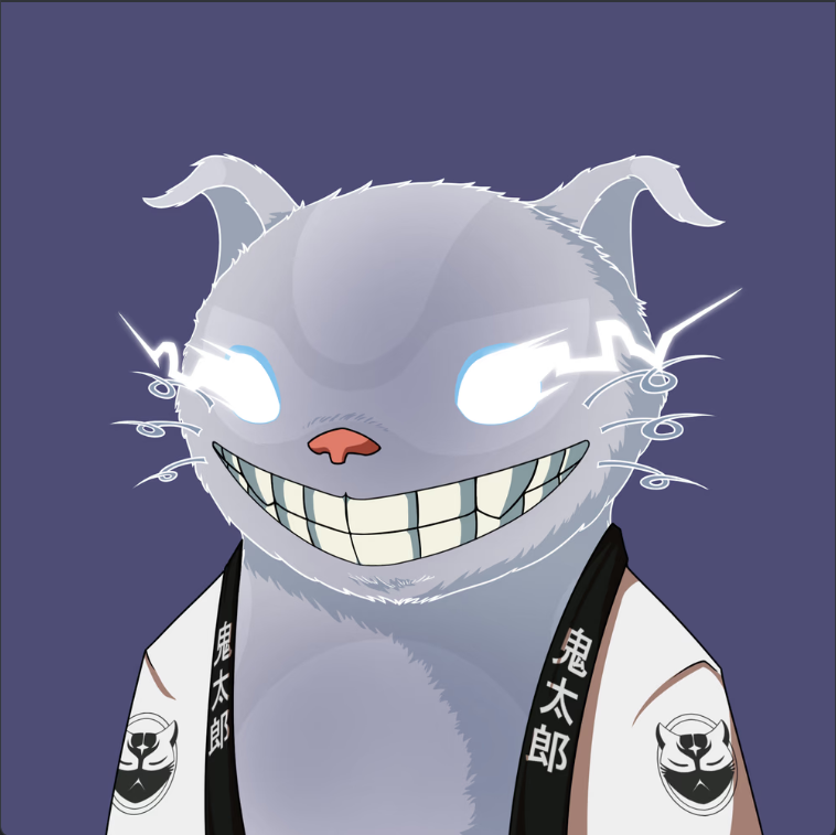 HammadBarak's tweet photo. Gmeow legends! Gonna have one last chest test today. Seems like i am doing better than before. Got this @KitaroNFT to celebrate my health. How did i do? 🤔 https://t.co/noAsT7noHq