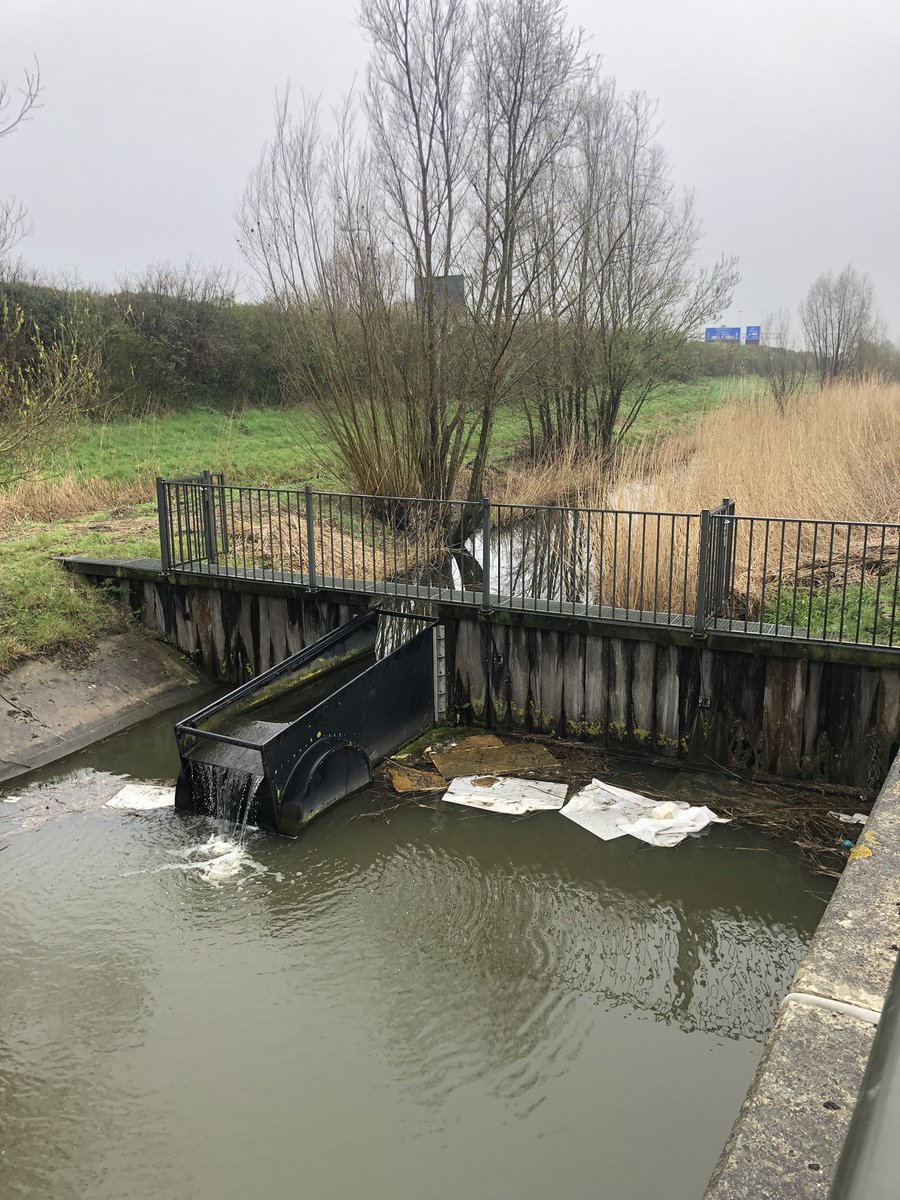 Harnaspolder's tweet photo. Hotel Van der Valk Delft A4 heeft haar betonstenen voortuin helemaal schoon! Nu de natuur van @Midden_Delfland rond de rioolwaterzuivering nog. https://t.co/tfOQ9jkqVi