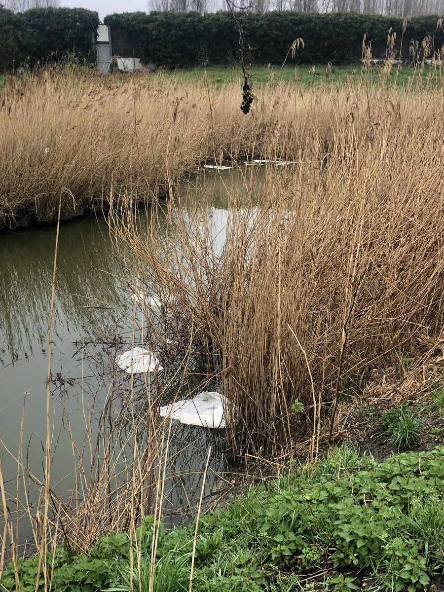 Harnaspolder's tweet photo. Hotel Van der Valk Delft A4 heeft haar betonstenen voortuin helemaal schoon! Nu de natuur van @Midden_Delfland rond de rioolwaterzuivering nog. https://t.co/tfOQ9jkqVi