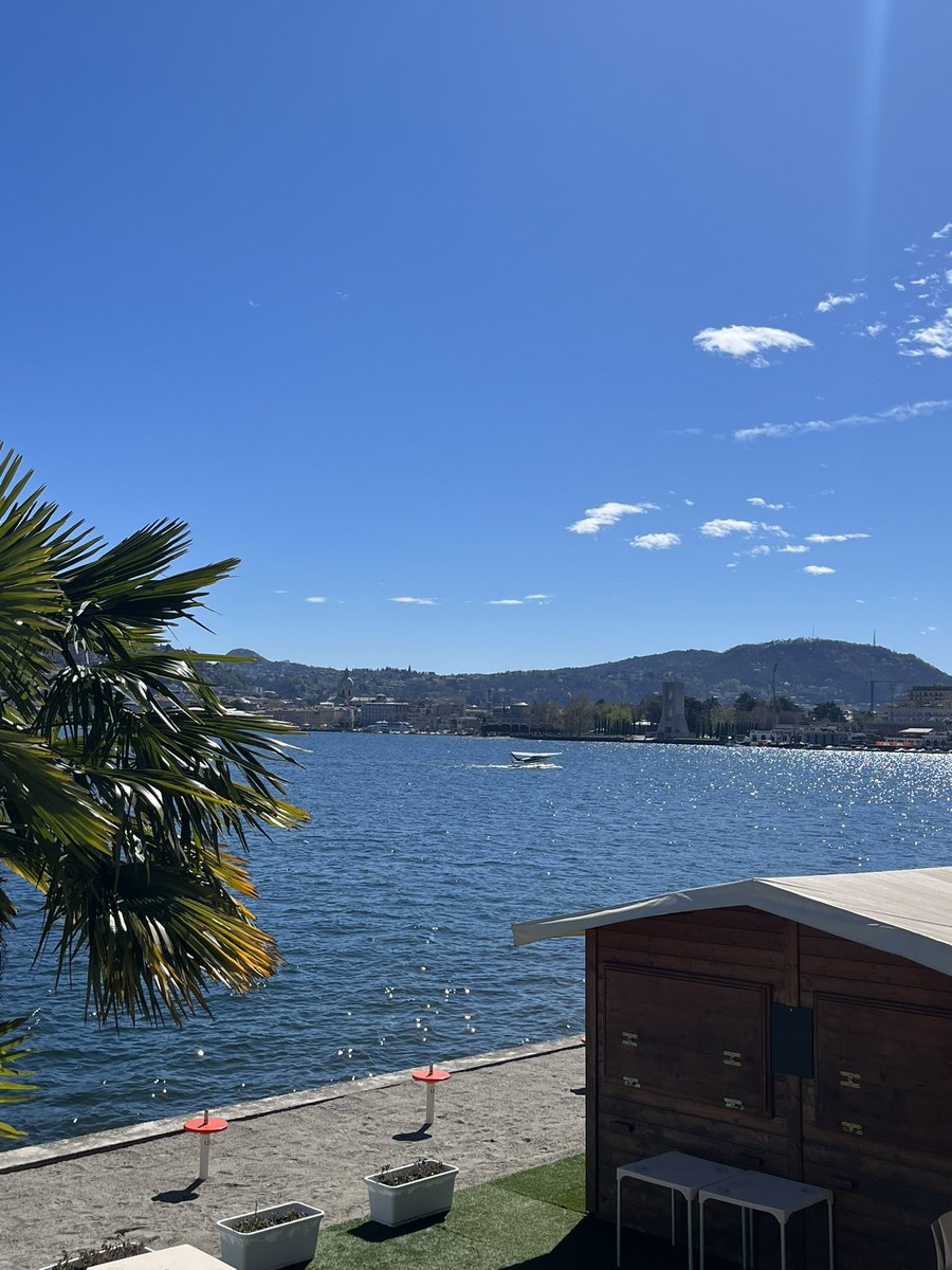 Anis Mehmeti first goalscorer