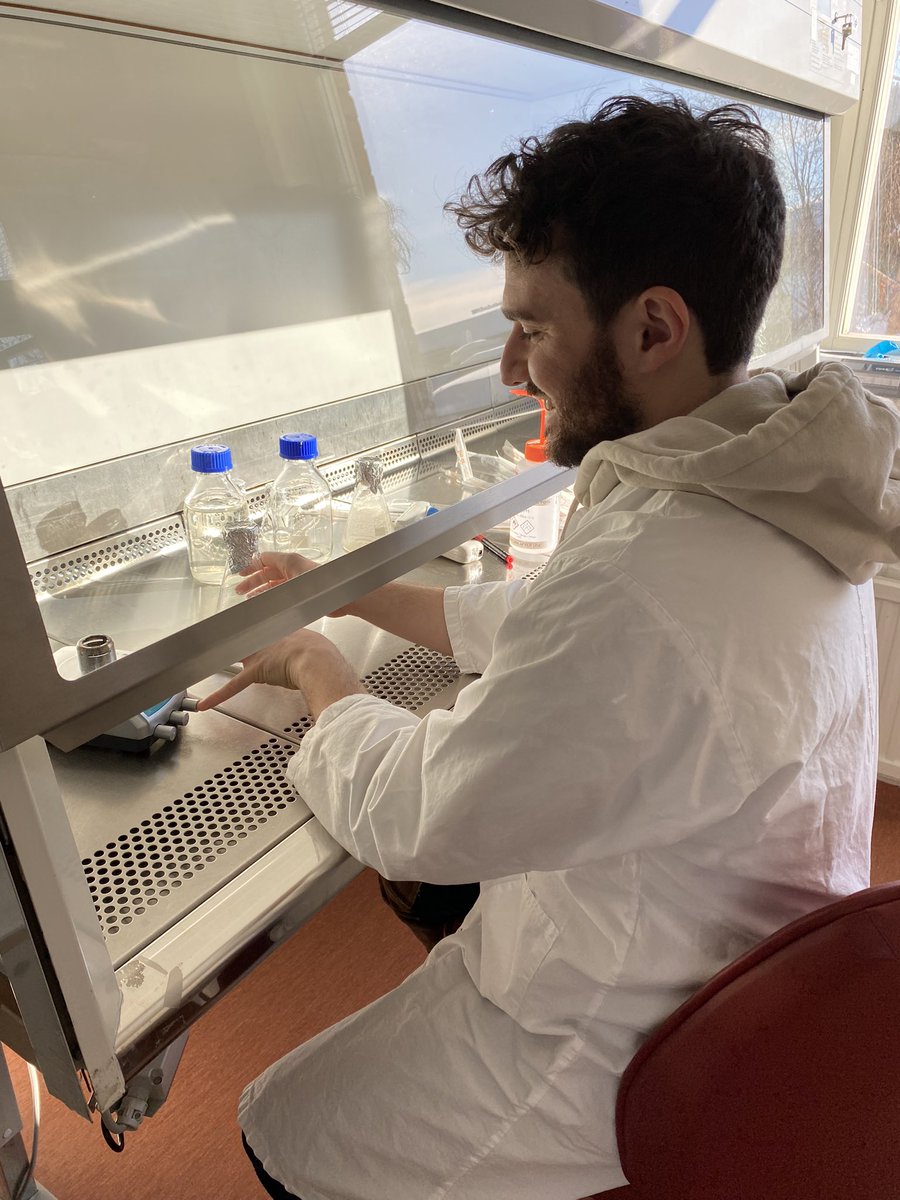 Electronic Plants Group (@eplants_at_liu) on Twitter photo The e-Plants postdoc Gwennaël Dufil and the PhD student <a href="/EricaColaprico/">Erica Colaprico</a> are very thankful for this week at Umeå Plant Science Centre <a href="/UmeaPlantSci/">Umeå Plant Science Centre (UPSC)</a> with Stéphanie Robert @SRobertGroup together with <a href="/StephaneVrg/">Stéphane VERGER</a> research group! Looking forward for many collaborations! 🌱 The e-Plants postdoc Gwennaël Dufil and the PhD student <a href="/EricaColaprico/">Erica Colaprico</a> are very thankful for this week at Umeå Plant Science Centre <a href="/UmeaPlantSci/">Umeå Plant Science Centre (UPSC)</a> with Stéphanie Robert @SRobertGroup together with <a href="/StephaneVrg/">Stéphane VERGER</a> research group! Looking forward for many collaborations! 🌱