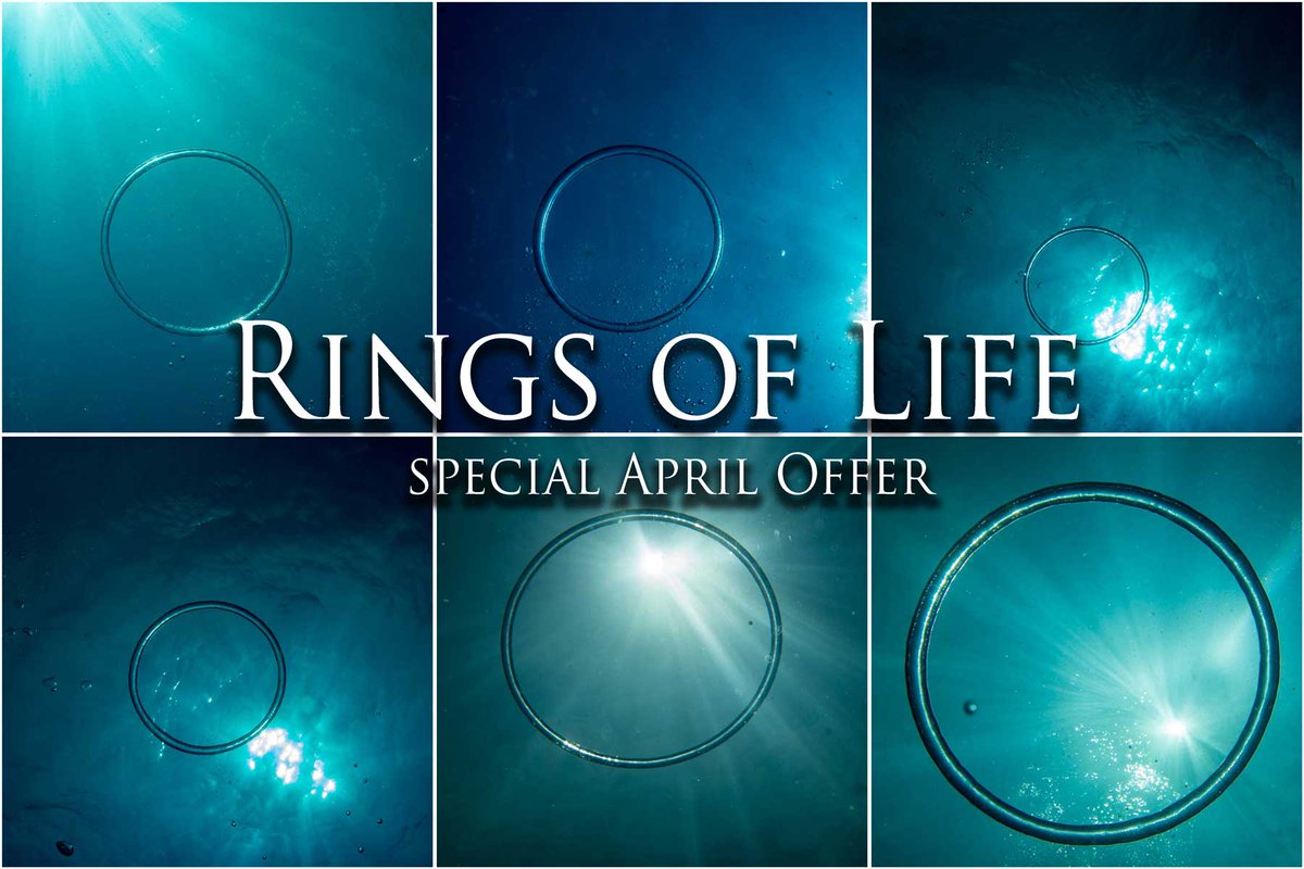 DanThΞMan Photography 📸 tweet media