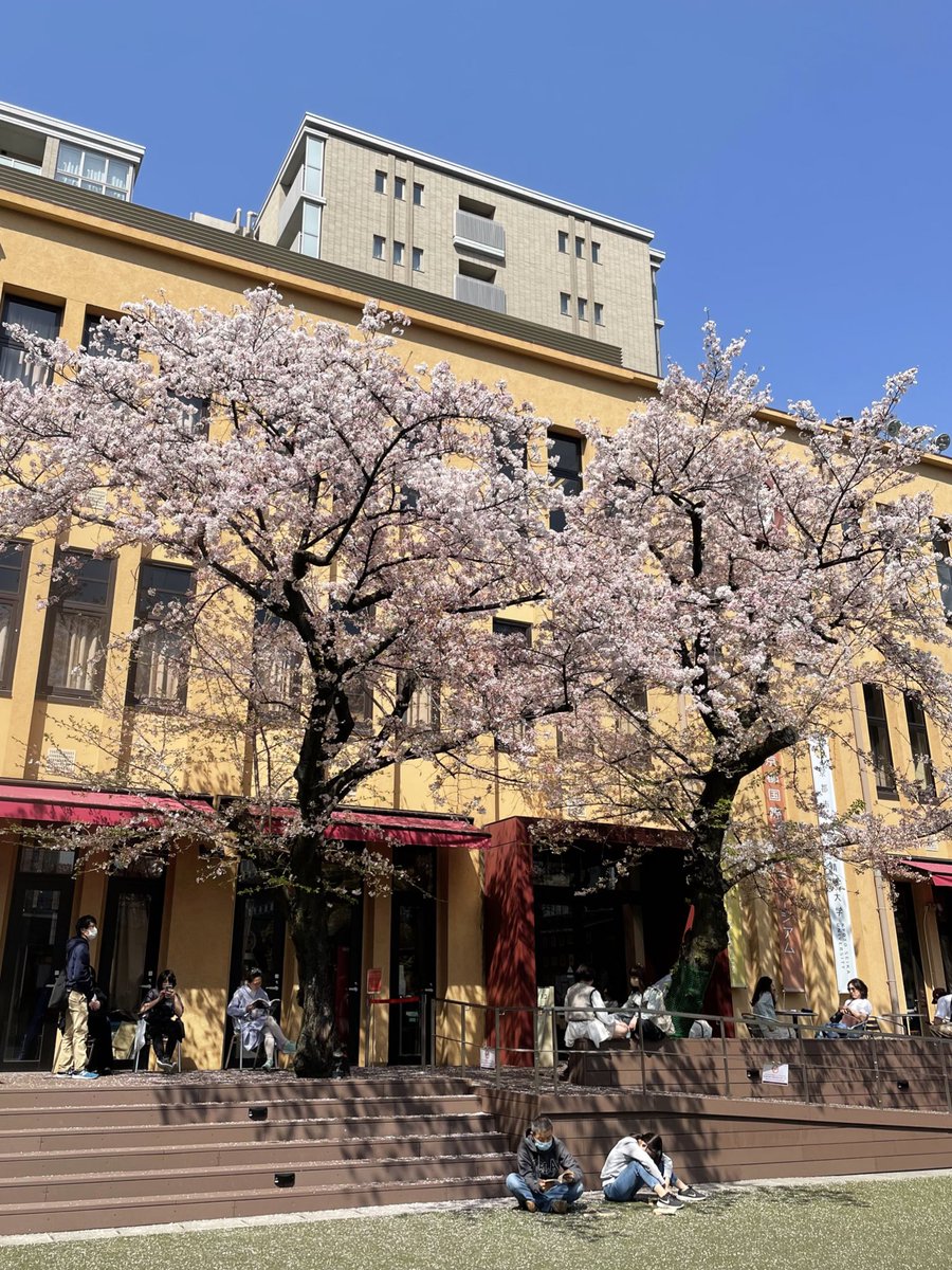 本日よりマンガミュージアムの実演に復帰しました！
お客様にも見学していただき、あ〜この感じこの感じと実感してました😌
グラウンドの桜も満開🌸 https://t.co/nKA6h1ihHi