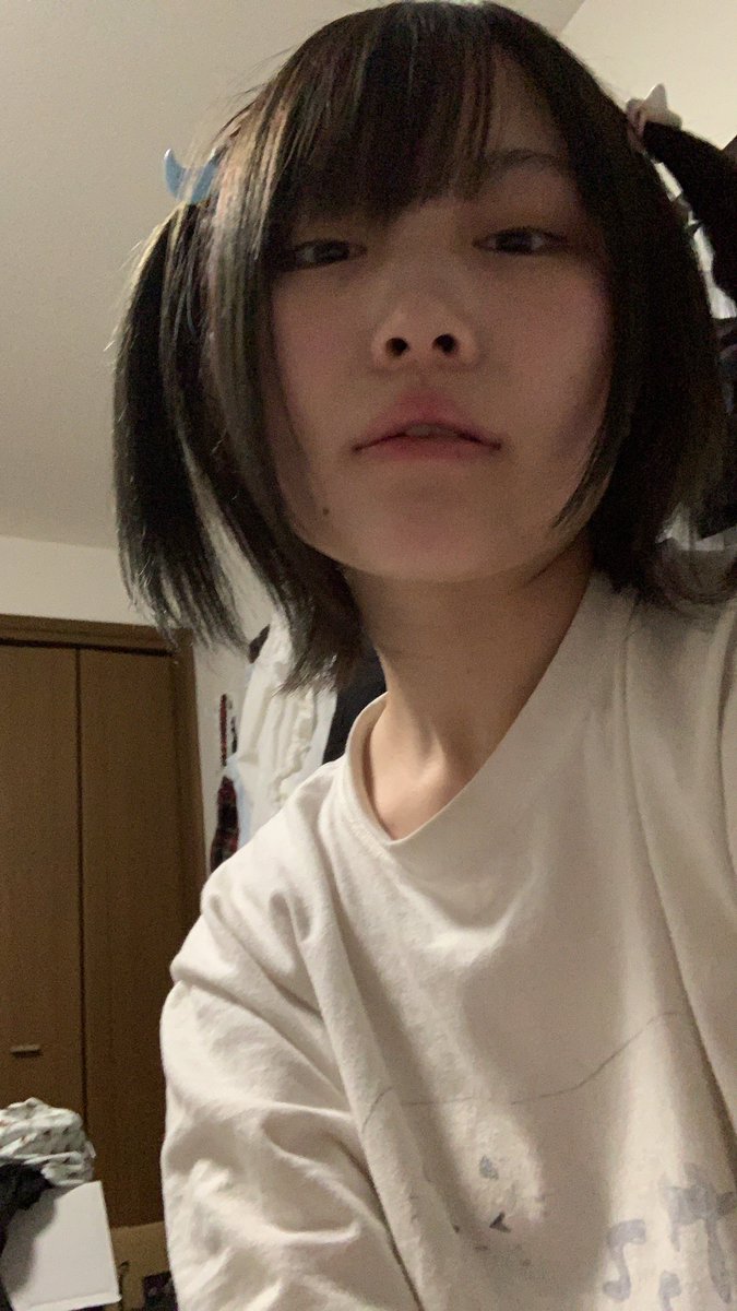 ぬこぬこ on Twitter