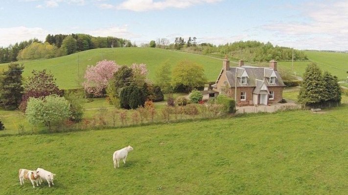moodyonmoon's tweet photo. Countryside manor 🌳 https://t.co/dfwPJoPsEA