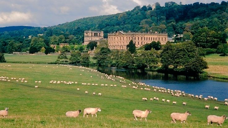 Countryside manor 🌳