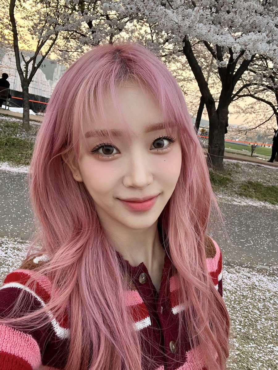 순이 tweet media