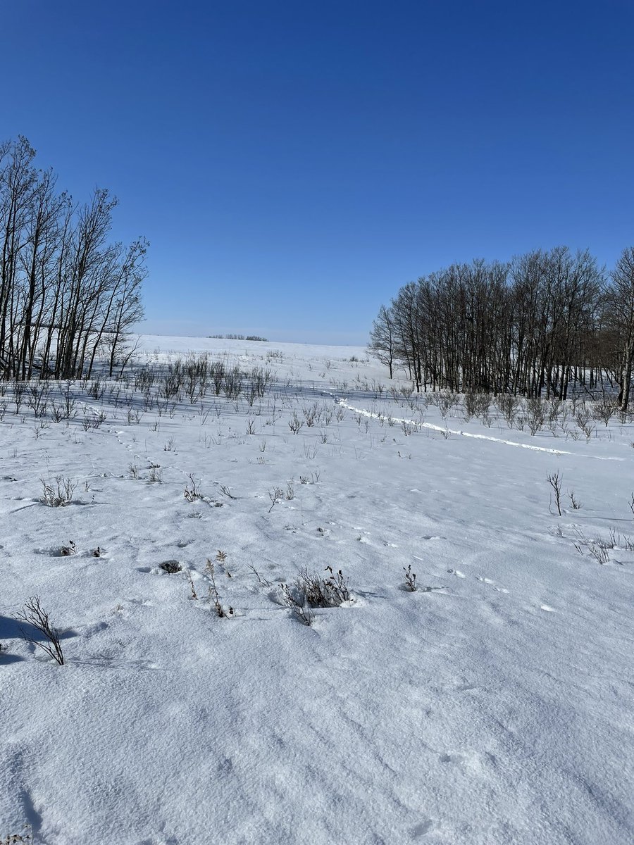 Hard to believe we are still doing this on April 1st