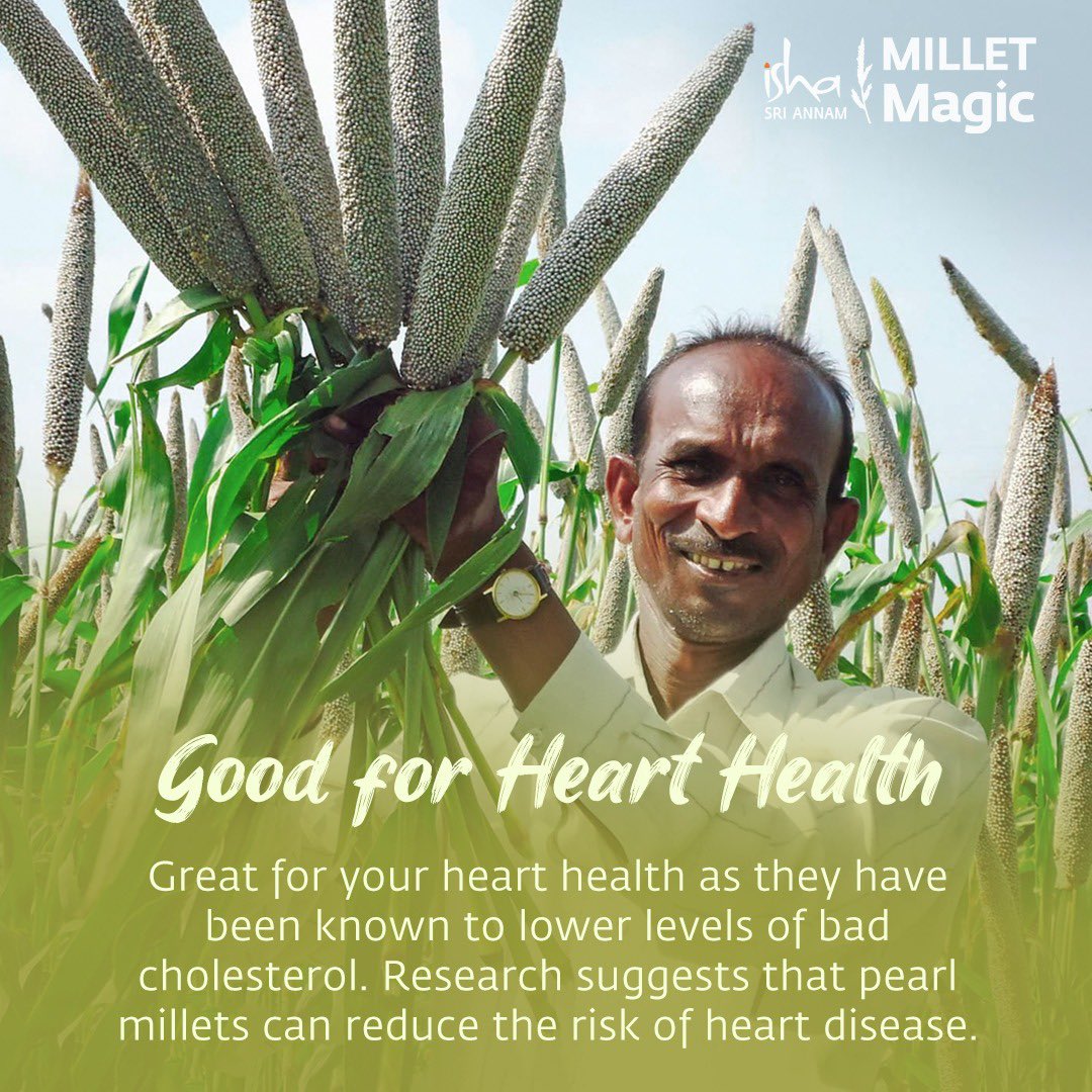 Millet of the month- Pearl millet

Try now 
Link in bio

#millets #yearofmillets #pranic #pranicfood #pranicrecipes #superfoodnutrition #ishayoga #highernutritionalvalue #heatresistant #droughtresistant #pestresistant #allsoiltypes #shreeannan #milletmagic #greatforsoil