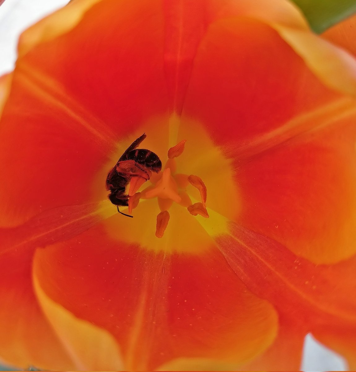 yo_mismo1's tweet photo. Day 1 #ShotOnSnapdragon Photography Challenge #SpringOnSnapdragon
Shot on @oneplus
#OnePlusCommunity
#OnePlus3 #YourBestShot #ShotOnOnePlus
#NeverSettle
#ShotOnSnapdragon
#Snapdragon
@Snapdragon https://t.co/6h7TeGrt9L