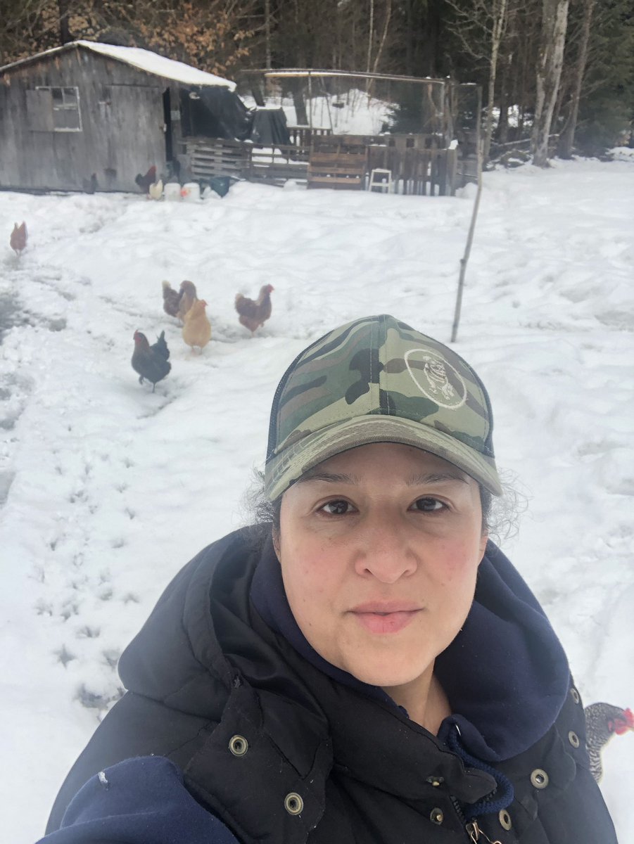 LibertyMe15's tweet image. One of my favorite parts of the day is hanging out with these weirdos in the morning!! #chickens #Foodsovereign