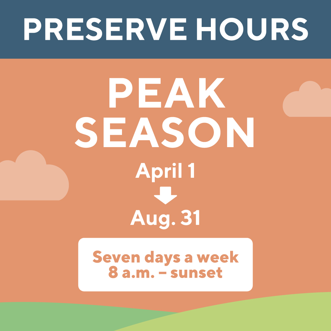 WakeGovParks's tweet photo. Today marks the start of peak season at @WakeGovParks three nature preserves. Starting today and lasting until August 31, #RobertsonMillpond, #SandyPines, and #Turnipseed preserves are open seven days a week from 8 a.m. until sunset! https://t.co/VSaZeUAzoN