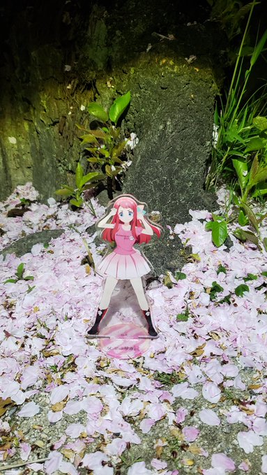 桜の時期(もう葉桜だけど)にさくらを。#源さくら生誕祭#源さくら生誕祭2023#ゾンビランドサガ 