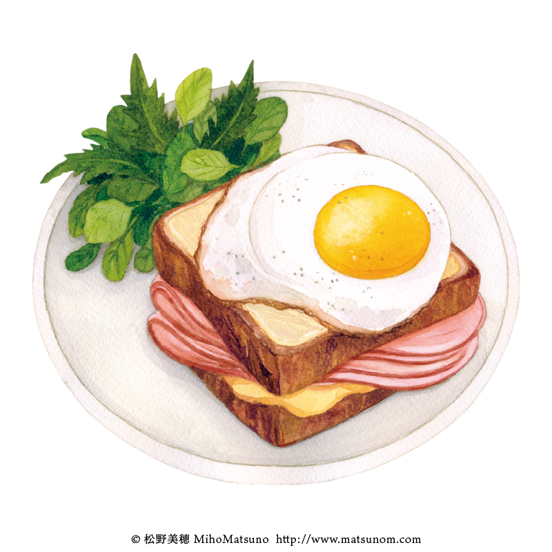 no humans food egg (food) white background simple background fried egg food focus  illustration images