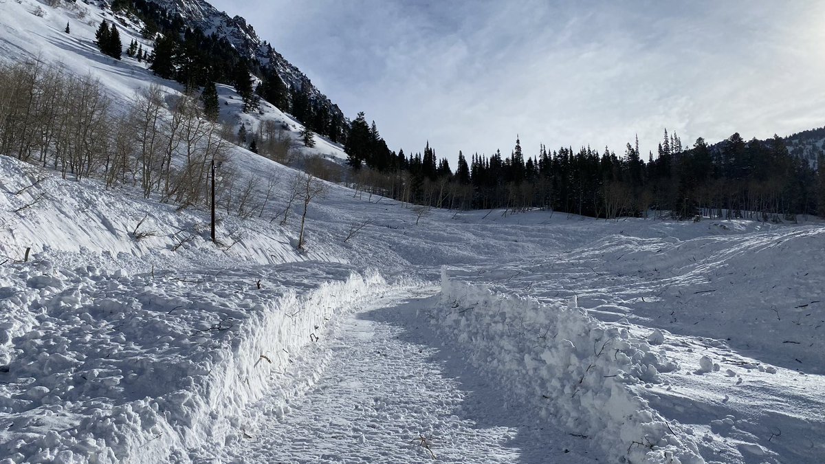 UDOT Cottonwood Canyons tweet media