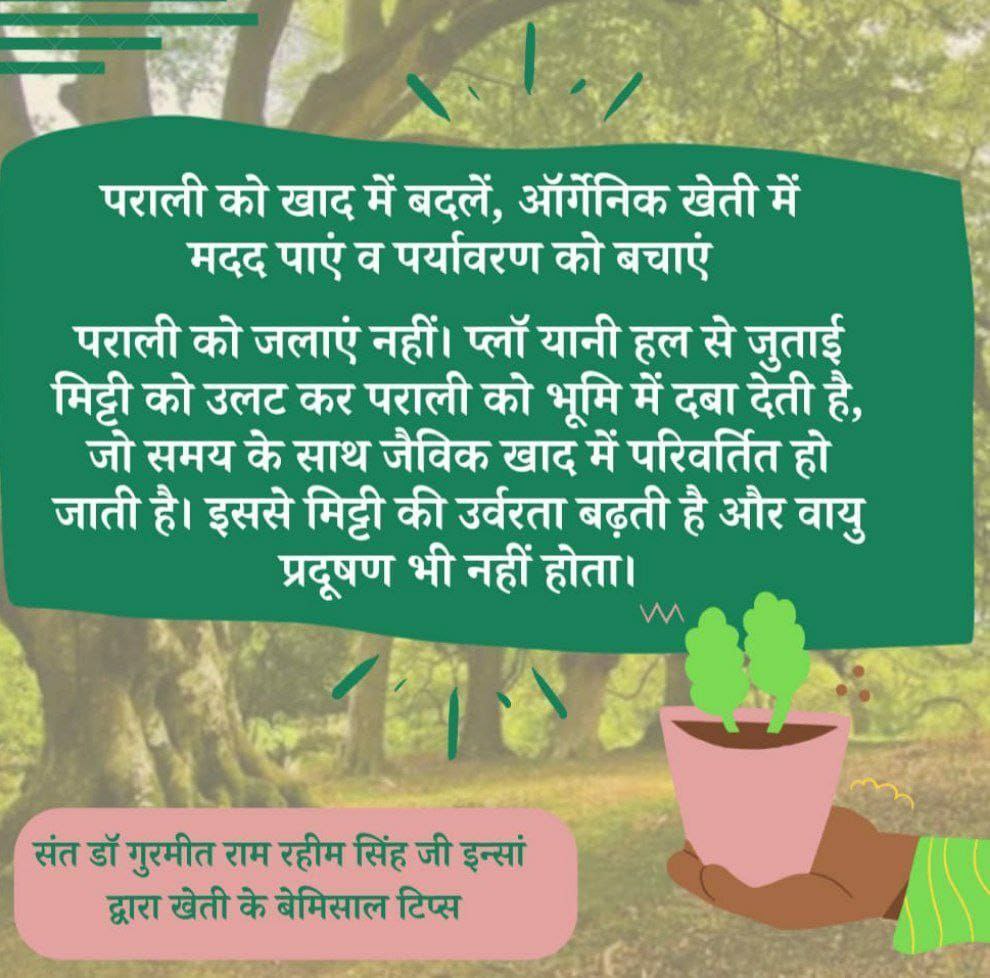 Kotajitu1994's tweet image. पराली की खाद् मे बदले , ऑर्गेनिक खेती मे मदद पाए।
#FarmingTips
#FarmingTipsBySaintMSG
#FarmingGuide
#BecomeASmartFarmer
#LearnAdvanceFarming
#OrganicFarming 
#SaintDrMSG
#BabaRamRahim
#DeraSachaSauda
#GurmeetRamRahim
#RamRahim

Saint Dr Gurmeet Ram Rahim Singh Ji Insan