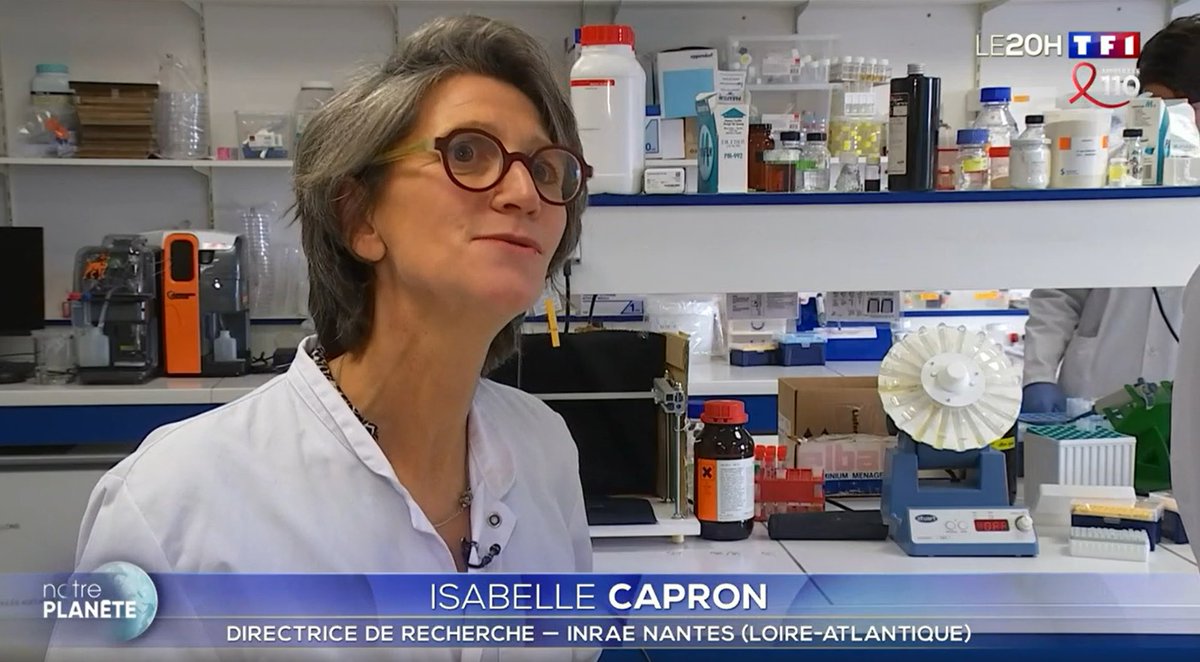 #INRAEdanslesmedias
Du plastique sans pétrole ? Reportage <a href="/TF1Info/">TF1Info</a> à l’unité <a href="/INRAE_BIA/">INRAE BIA</a>
▶️ Présentation par <a href="/JohnnyBeaugrand/">Johnny Beaugrand</a> d'1 caoutchouc fabriqué avec de la tomate 🍅 
▶️ ITW d'Isabelle Capron : 1 émulsion où la cellulose remplace le pétrole
Le replay url.inrae.fr/3G5V07V