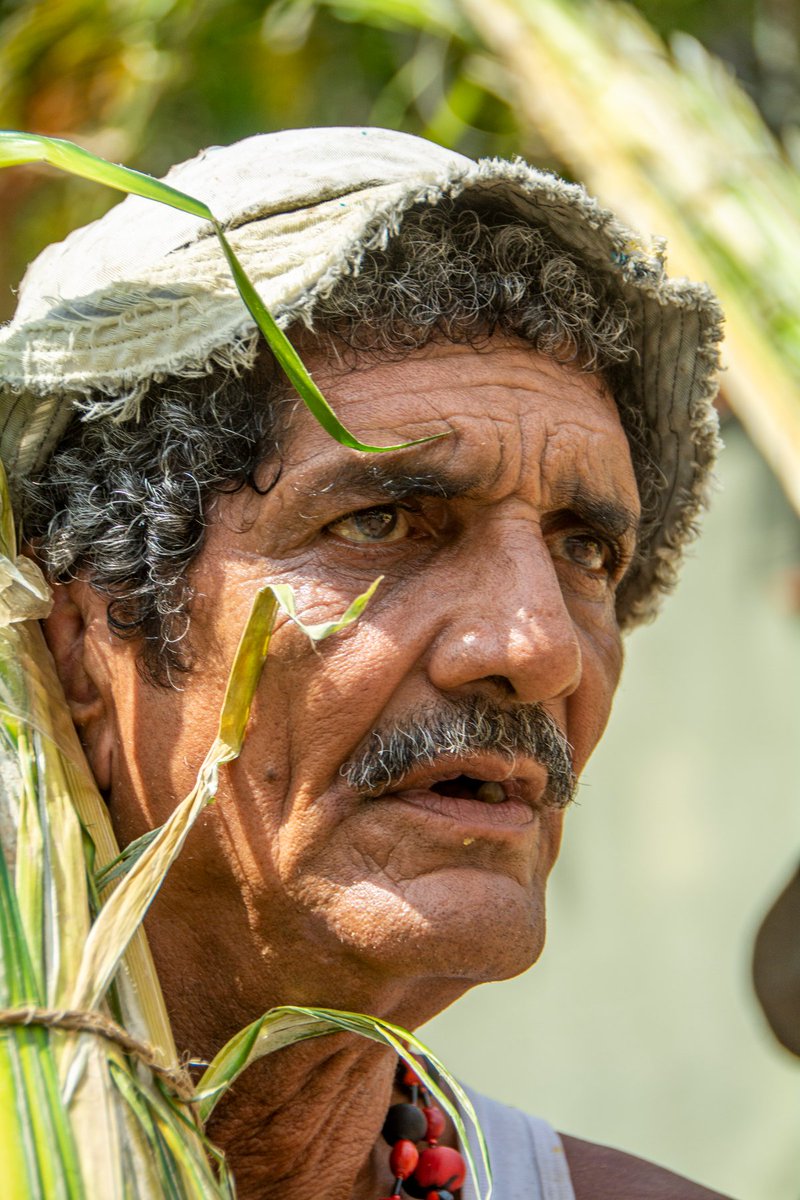 jimmyvillalta's tweet photo. Día de los Palmeros de Chacao. Inició de la semana santa en Caracas. #Caracas #chacao #palmerosdechacao @palmeroschacao
#sercaraqueno #ccs #palmeros #semanasanta #holyweek #palma #retrato #portrait #lcexposure #photoshelter #lensculture #venezolanos #culturachacao #fotochacao https://t.co/XAcjmDpqZJ