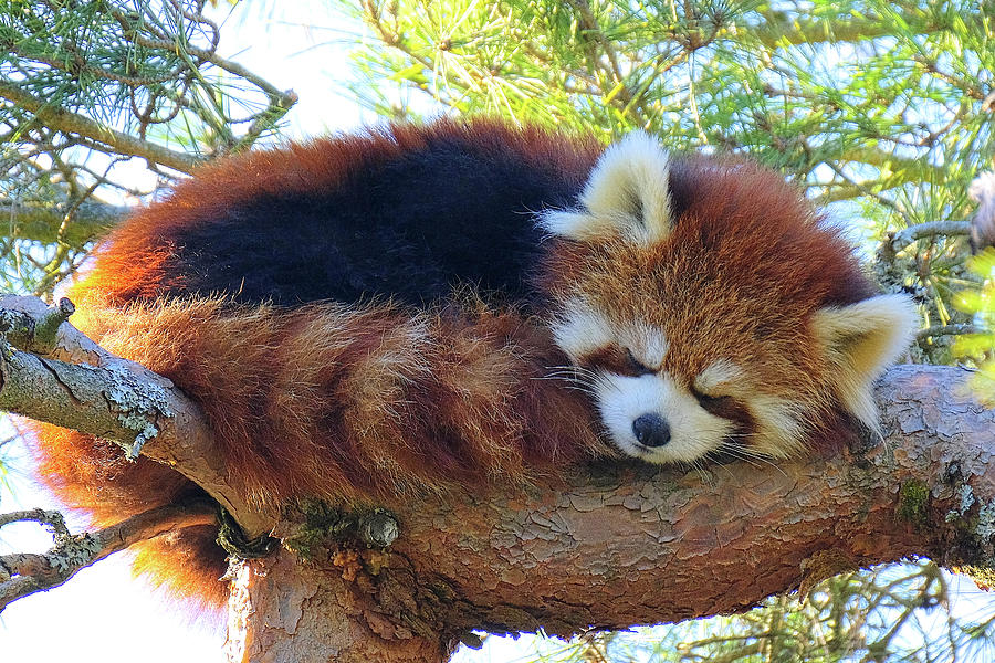 MayyKit's tweet photo. hmm... https://t.co/22zEuBUZ8G