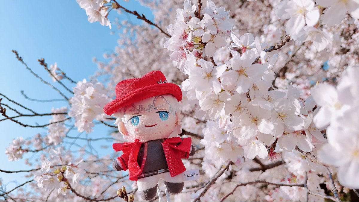 red headwear blue eyes solo hat chibi jacket cherry blossoms  illustration images