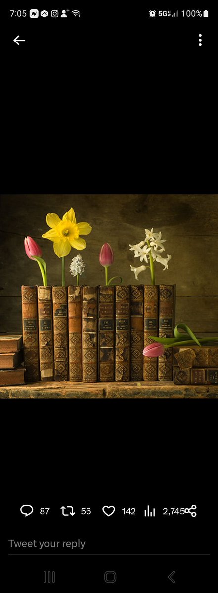 LCYOUNG1828's tweet photo. Good Morning World
Good morning, writing community
To creatively pretty not to share ~ Have a beautiful, creative, and inspired Saturday!
#IAMGEOH
#LIVECREATIVELY
#BEYOURSELF
#THELOVEOFBOOKS
#INSPIREDBYCREATIVITY
#PRETTYBOOKS https://t.co/1NdS54Rq0S