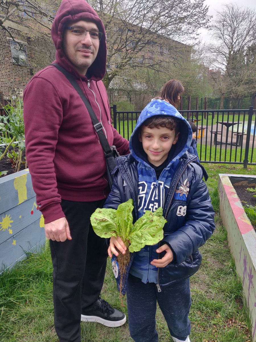 Kilburn Community Garden - Anyone Can Grow tweet media