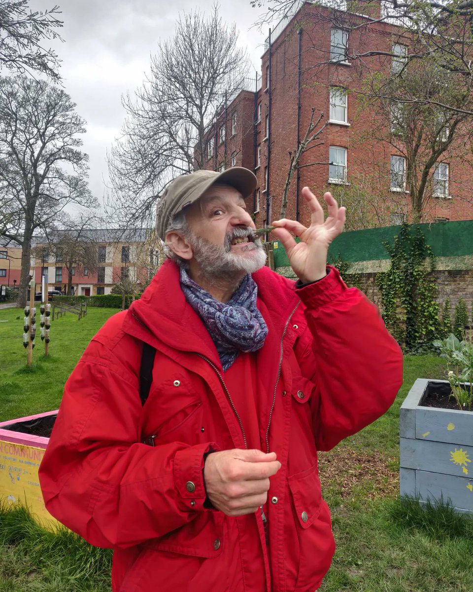 Kilburn Community Garden - Anyone Can Grow tweet media