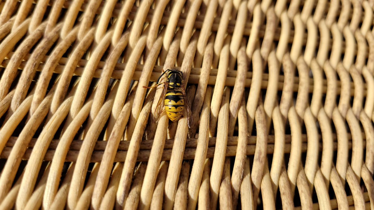 Steve Gane tweet media