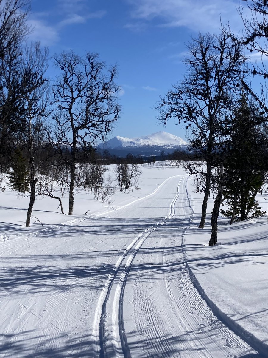 PistolHerman's tweet photo. Den femte årstiden ⭐️ https://t.co/q9LpuEaUfN