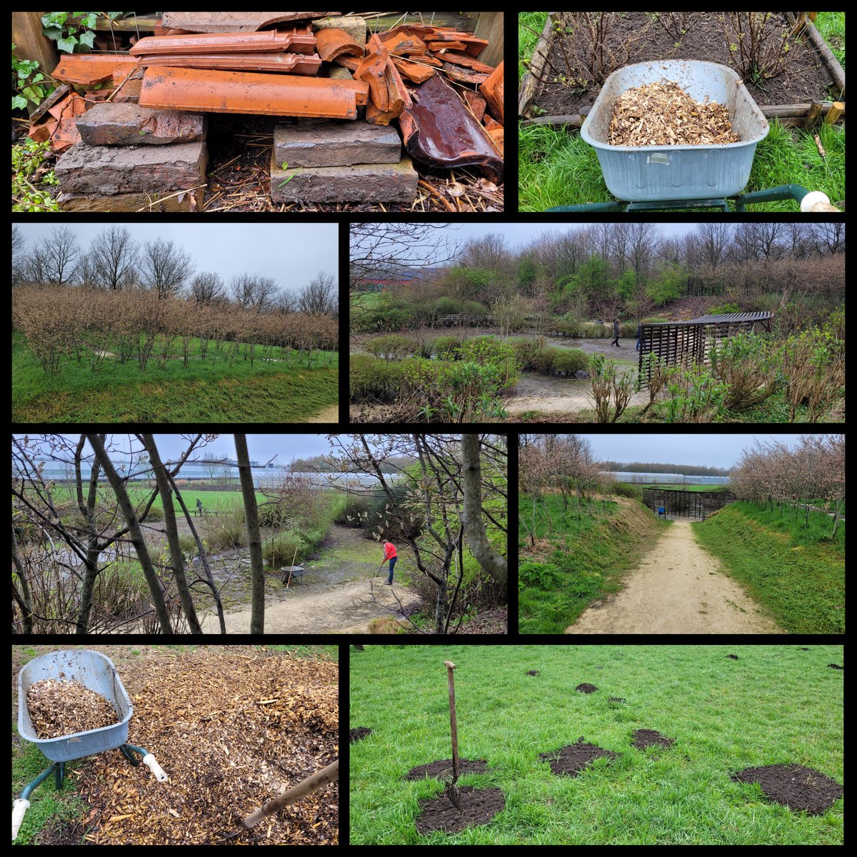 Natuurbelevings's tweet photo. Vanmorgen was het werkochtend op De Bult. Met 5 #vrijwilligers is er gewerkt in de rustkuil, in de idylle en in de fruitveldjes. Er is gemaaid, gesnipperd, geplant en gezaaid. Het volgende werkmoment is maandagavond 1 mei (vanaf 19:00 uur). #lekkerbuitenbezig #DeBult https://t.co/5PZFHdqvdt