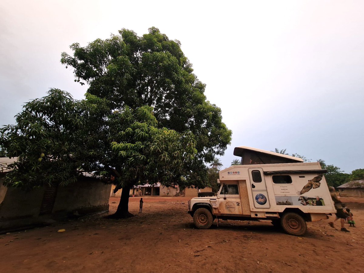 #FOTO expedition team camped last night in #Etago #Guinea, watched by an appreciative local audience as supper was made. Off overland to #Scotland following the #FlightOfTheOsprey #migration route of #UK #Ospreys #TogetherWeFly Tim Hill <a href="/sachadench/">Sacha Dench</a> <a href="/Raw_Images_Pho/">Poul Brix</a> <a href="/BeowulftheDoP/">Mike Webster</a>
