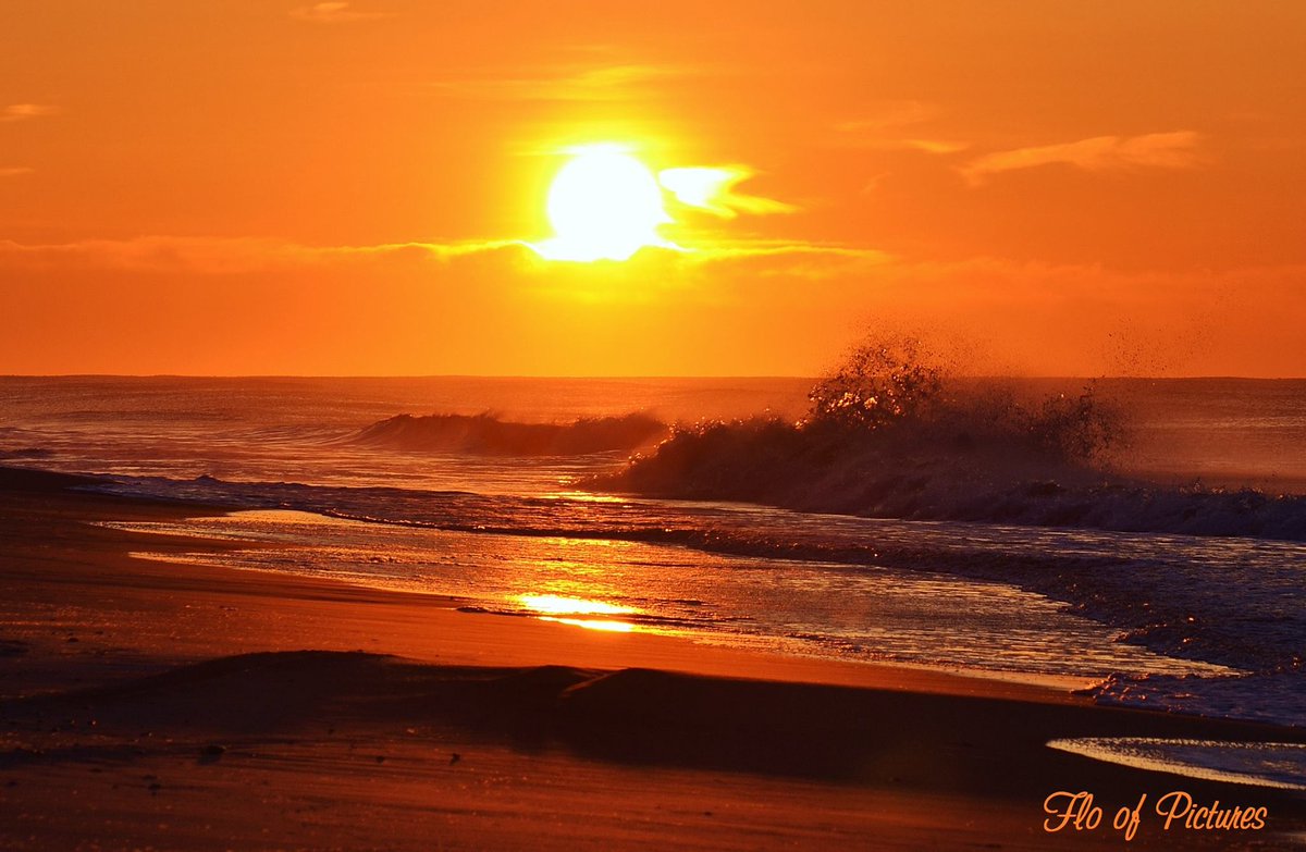 flo818's tweet photo. Wishing everyone a wonderful 1st day of April!! 
#sunrise #goodmorning #AprilFoolsDay2023 #flo_is_back2 #beach #waves #floofpictures https://t.co/Huolw7HPeK