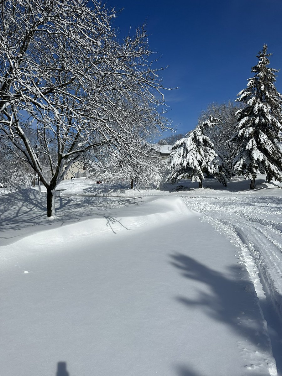 travelsofjustin's tweet photo. Spring soon? https://t.co/azWqLrB0Dz