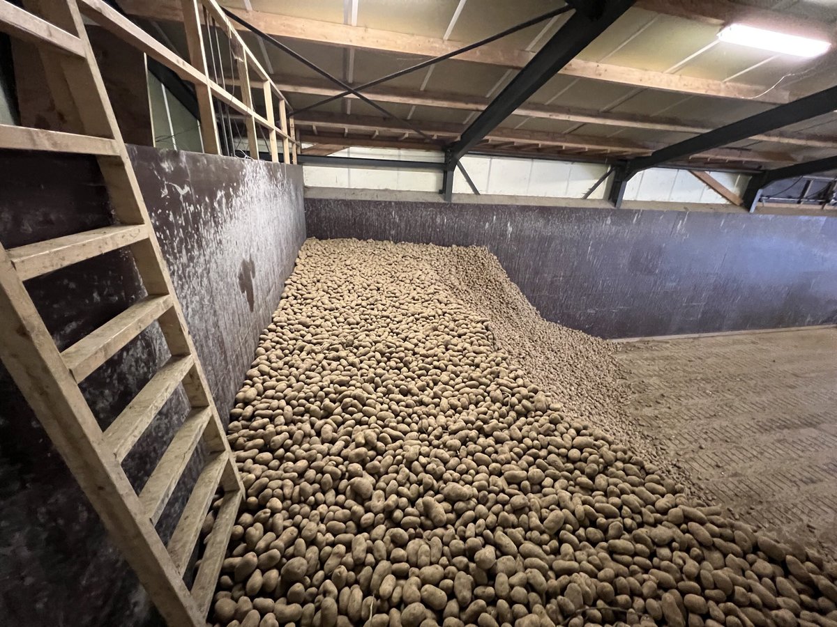 Harrysfarm 🚜🥔🌾🌻🚴‍♂️🧅 tweet media