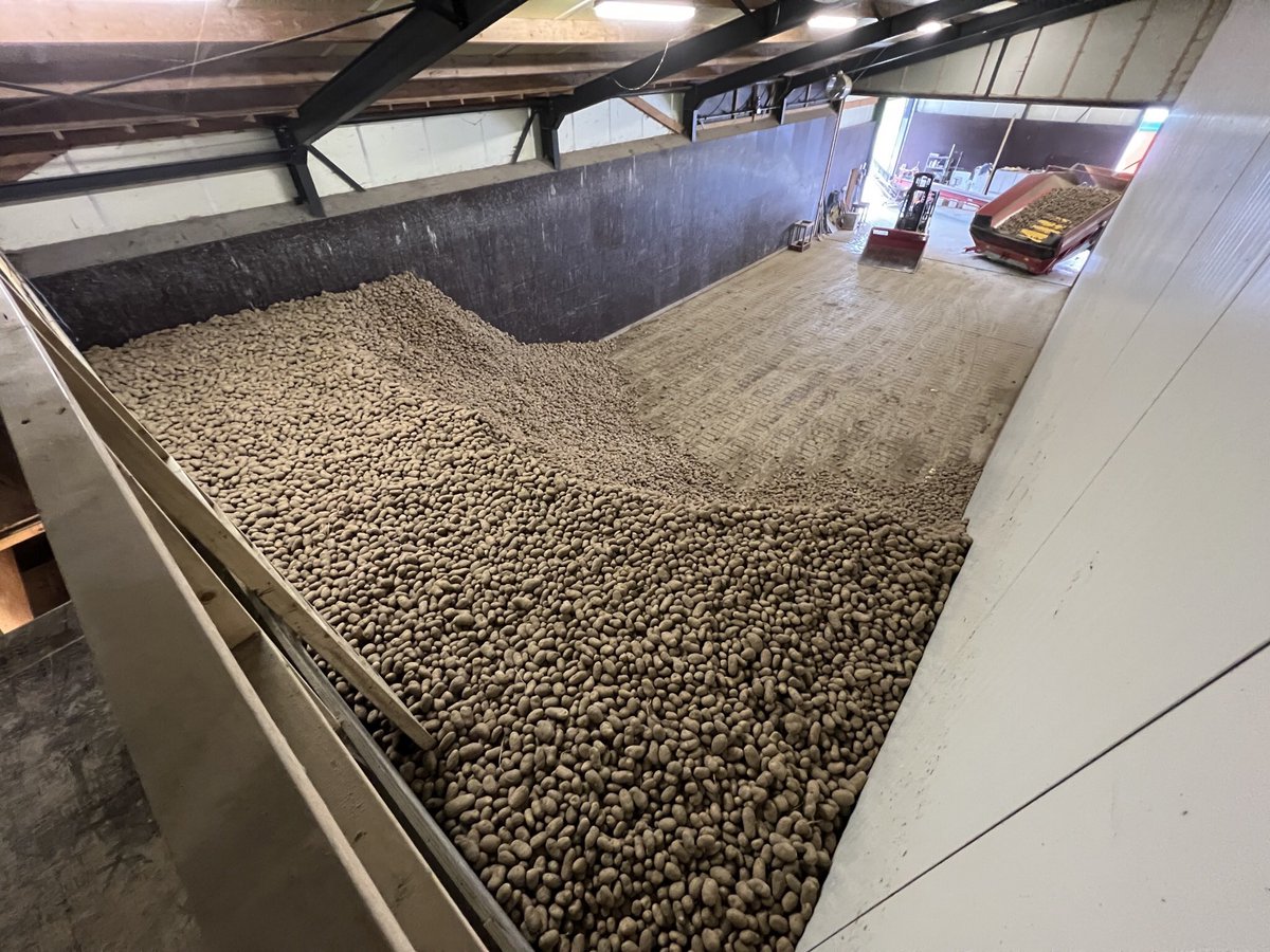 Harrysfarm 🚜🥔🌾🌻🚴‍♂️🧅 tweet media