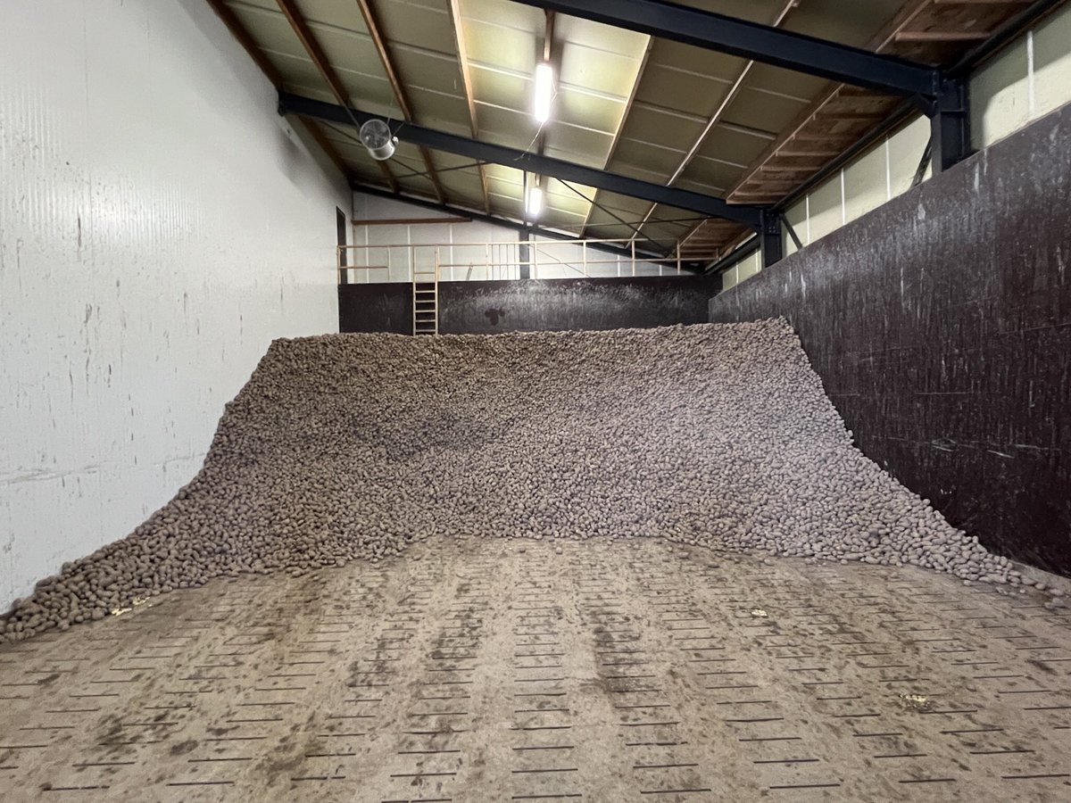 Harrysfarm 🚜🥔🌾🌻🚴‍♂️🧅 tweet media