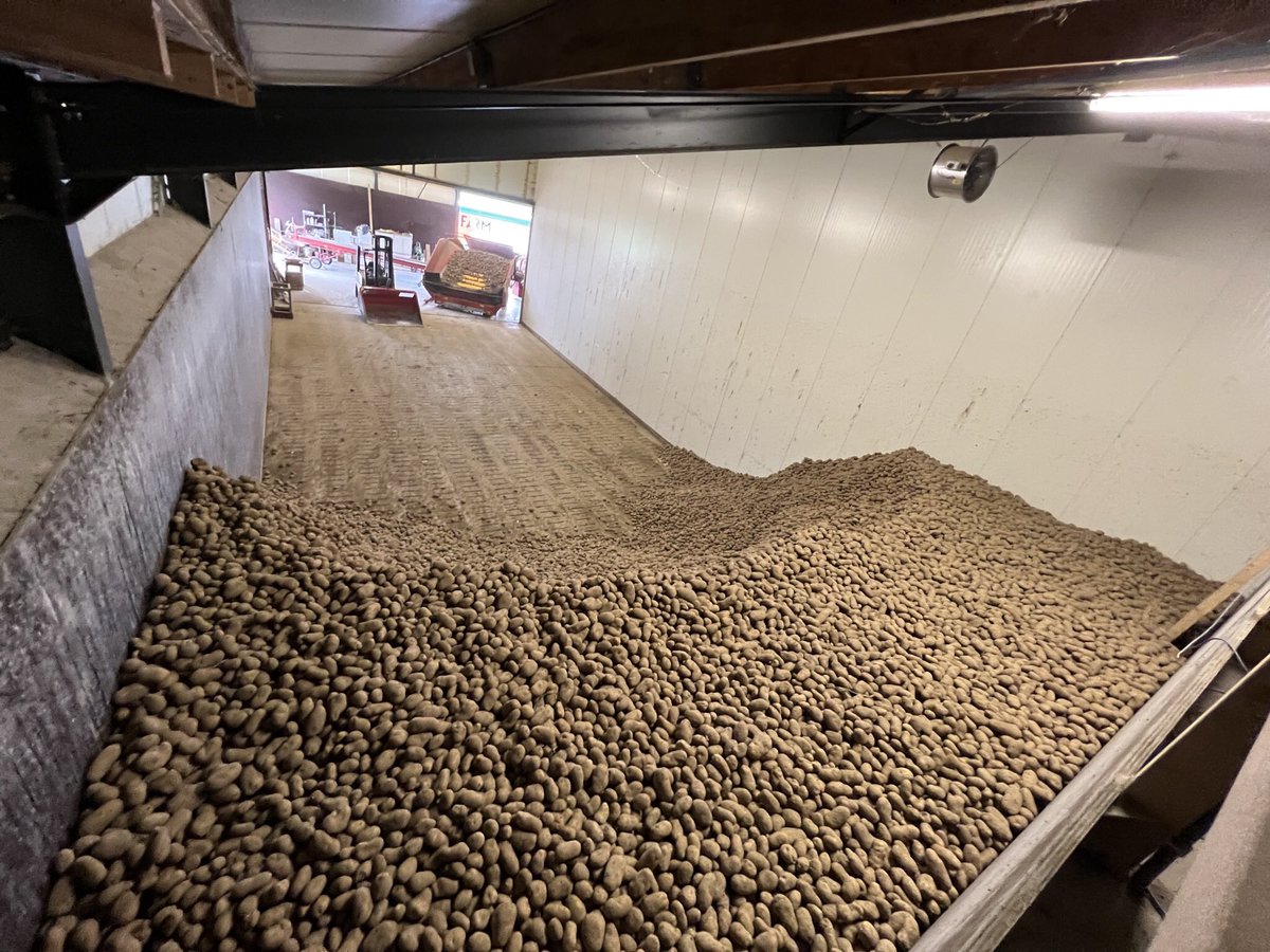 Harrysfarm 🚜🥔🌾🌻🚴‍♂️🧅 tweet media